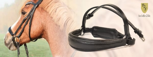 Bridle2fit