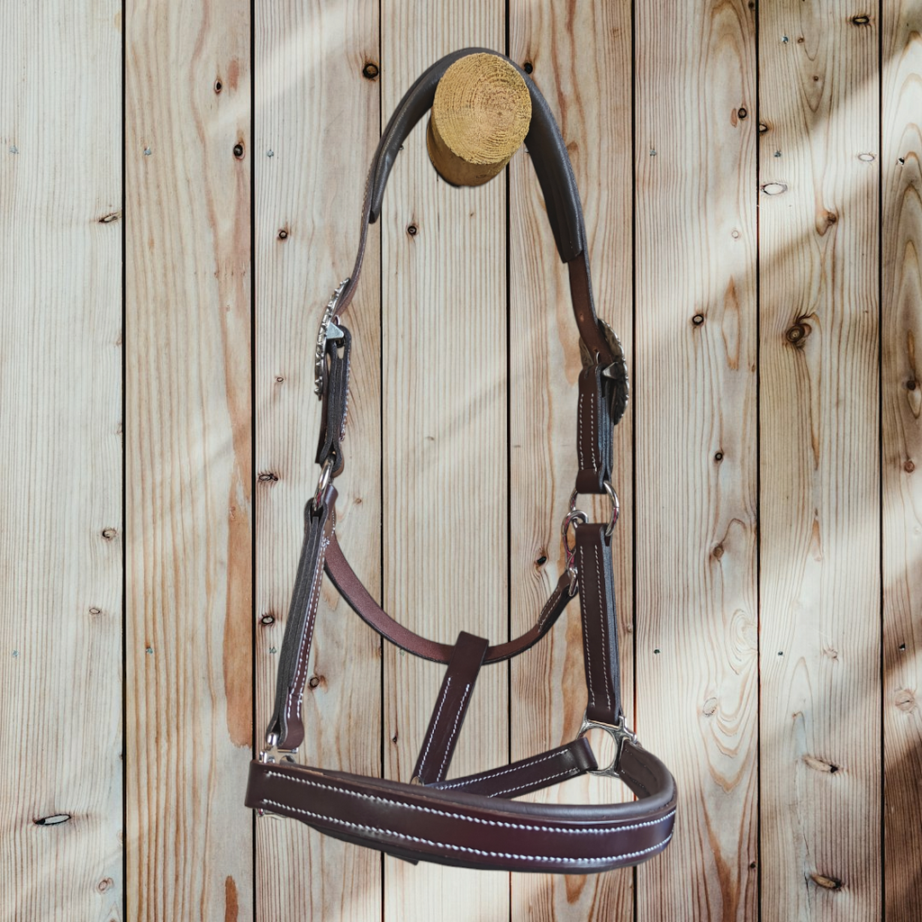 Lederen halster met mooie western look gespen